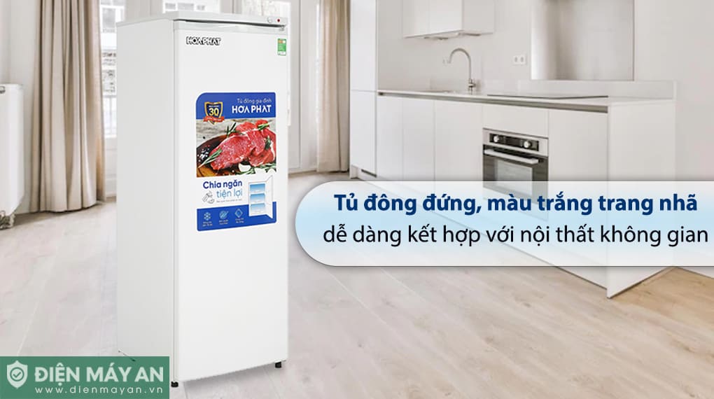 Tủ đông đứng Hòa Phát 208 Lít HPF UAH6208